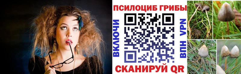 цены наркотик  Новоаннинский  Галлюциногенные грибы мицелий 